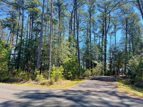 Lot 3 OCEANVIEW COURT, ACCOMAC, VA 23301