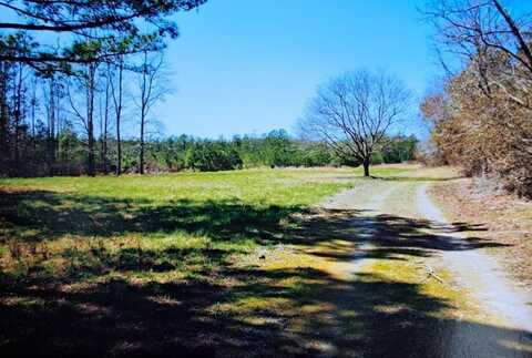 Parcel B MUDDY CREEK RD, BLOXOM, VA 23308
