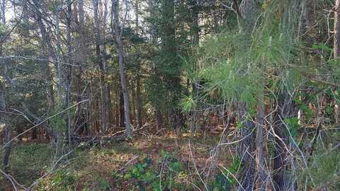 Lot 7 LIBERTY DR, MAPPSVILLE, VA 23407