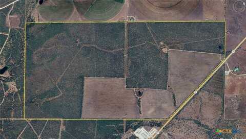 00 St Hwy 80 Highway, Nixon, TX 77140