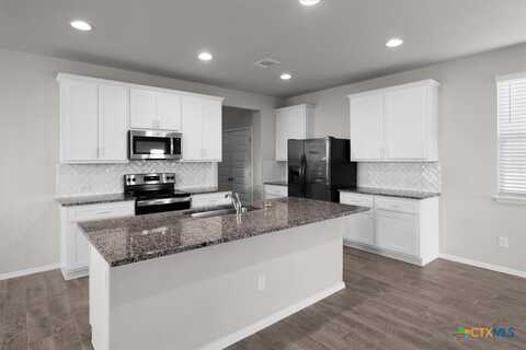 240 Blue Agate Court, Jarrell, TX 76537