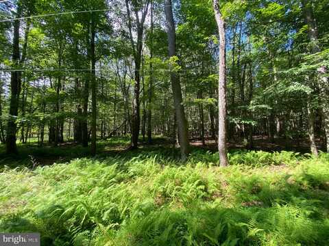 Lot 4 BASSWOOD DRIVE, SOUTH STERLING, PA 18445