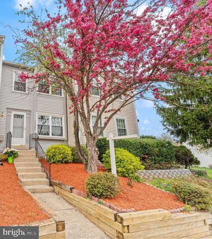 13984 BIG YANKEE LANE, CENTREVILLE, VA 20121