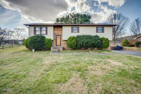 247 Carlton Road, Bristol, TN 37620