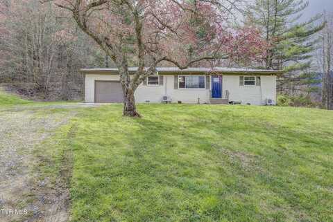 110 Blankenship Road, Flag Pond, TN 37657