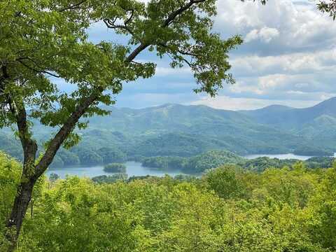 18 Horseshoe Cove DR/MistyHollow, BUTLER, TN 37640