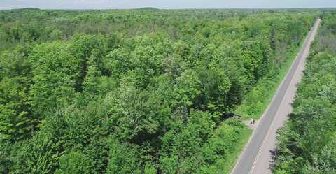 40 Acres Maple Grove, Skandia, MI 49885
