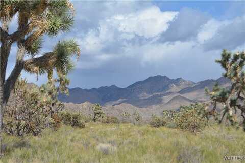 L9 S Jenny Road, Yucca, AZ 86438