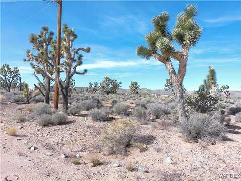 26241 N Humming Bird Lane, Meadview, AZ 86444