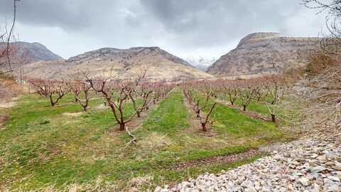 1540 E 50 S, Pleasant Grove, UT 84062