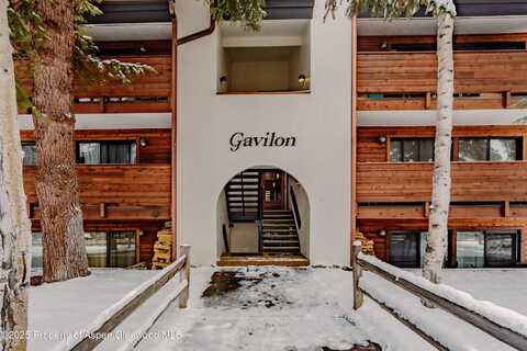 935 E Hopkins Avenue, Aspen, CO 81611