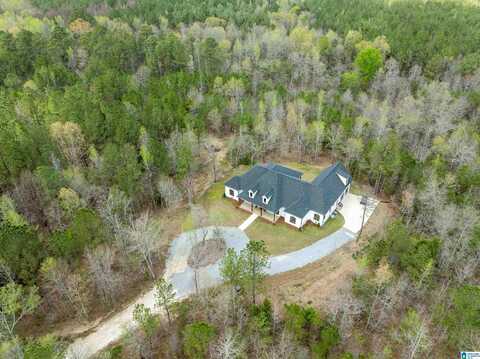 171 CARPENTERS LANE, JACKSONVILLE, AL 36265