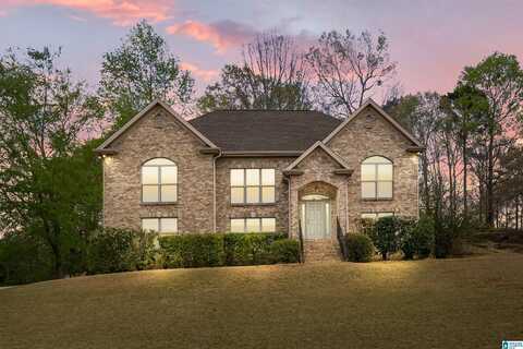 159 LIME CREEK LANE, CHELSEA, AL 35043