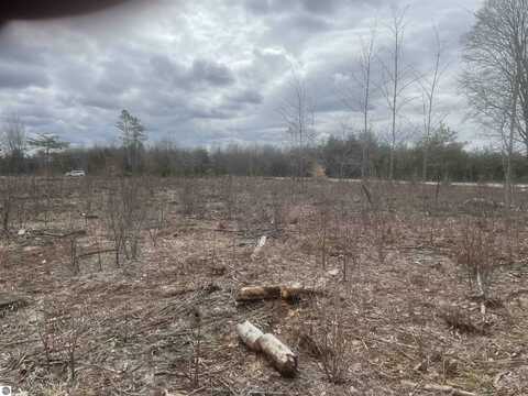 CARMEAN ROAD, HONOR, MI 49640
