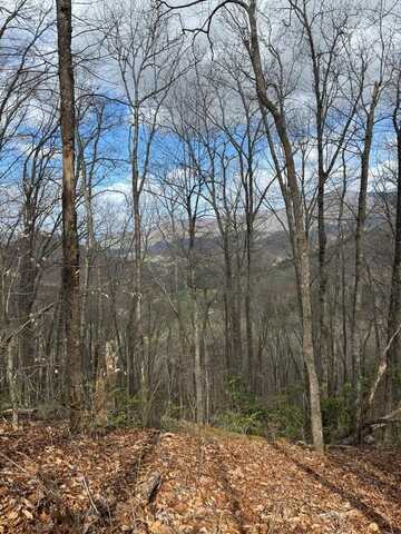 E Wabash Dr, Sylva, NC 28779