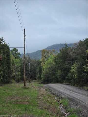 TBD Turkey Ridge RD, Magazine, AR 72943