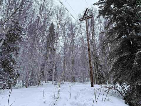 3388 MOONSHINE RUN, Fairbanks, AK 99709