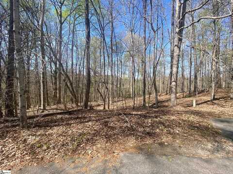 105 Dogleg Drive, Laurens, SC 29360