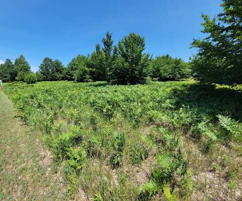 Eagle Ridge Circle, Onekama, MI 49675