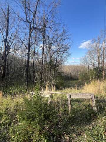 1326 Sassafras Lane, Nixa, MO 65714