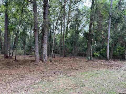 TBD CR 2603, Pittsburg, TX 75686