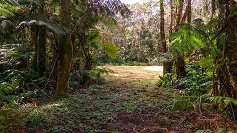 11-3909 4TH ST, VOLCANO, HI 96785