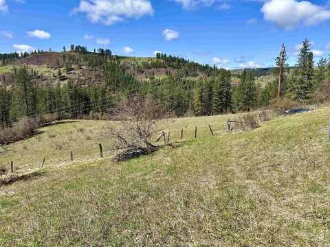 121 Ferguson Road, Harpster, ID 83553