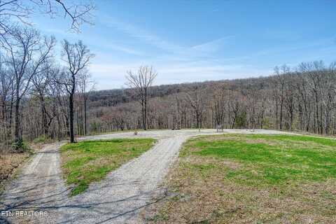 74 Black Cat Tr, Rockwood, TN 37854