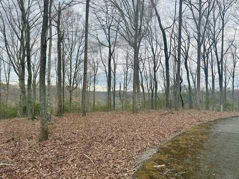 Lot Paradise Alley, Russell Springs, KY 42642