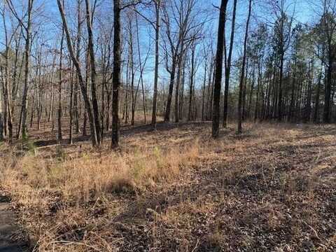 3595 NORTHSHORE, Savannah, TN 38372