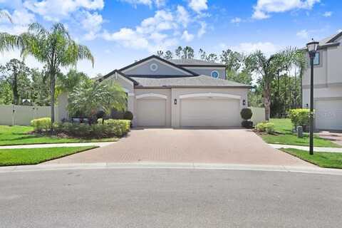 10703 MORNING DEW WAY, TAMPA, FL 33647