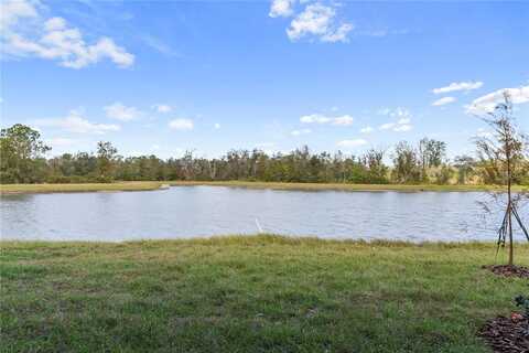33083 REGENT CANAL STREET, WESLEY CHAPEL, FL 33545