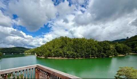 238 Lakeview Dr, ALMOND, NC 28702