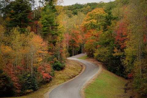Lot 3 Wild Laurel, BRASSTOWN, NC 28902