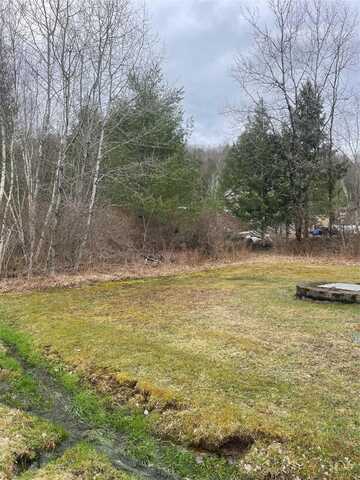 39 Birch Lane, Swan Lake, NY 12783
