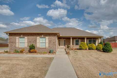 127 Birch Falls Drive, Hazel Green, AL 35750
