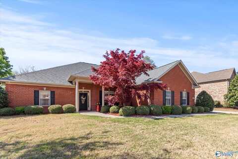 166 Rainbow Glen Circle, Madison, AL 35758