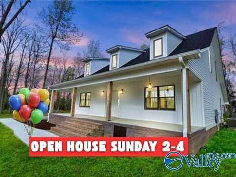 191 Scenic Drive, Section, AL 35771