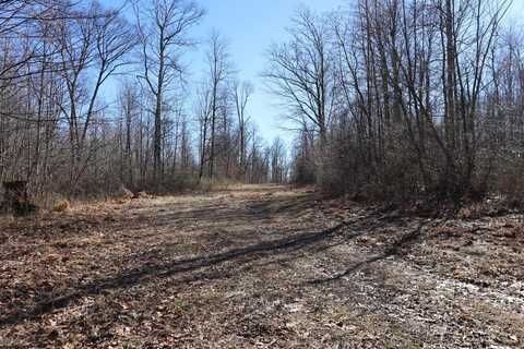 TBD King Summit Road, Coalton, WV 26257