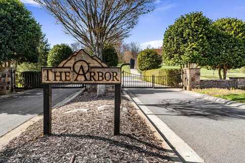 Club Drive from the Arbor, Blairsville, GA 30512