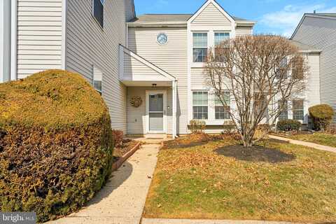 Maple, CONSHOHOCKEN, PA 19428