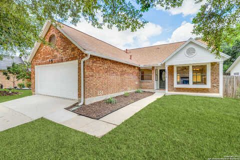 Palomino, CONVERSE, TX 78109