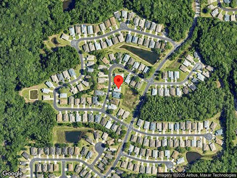 Turtle Dove, NEW PORT RICHEY, FL 34654