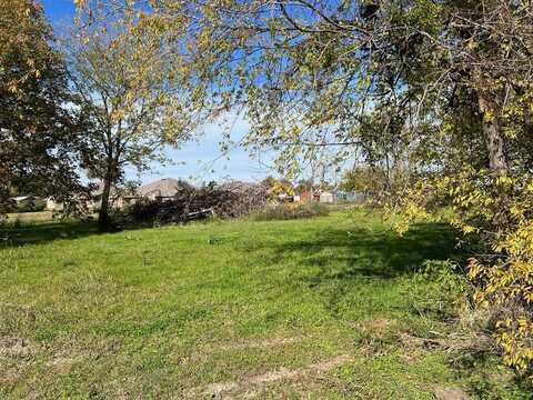 116 W Chestnut Street, Mabank, TX 75147