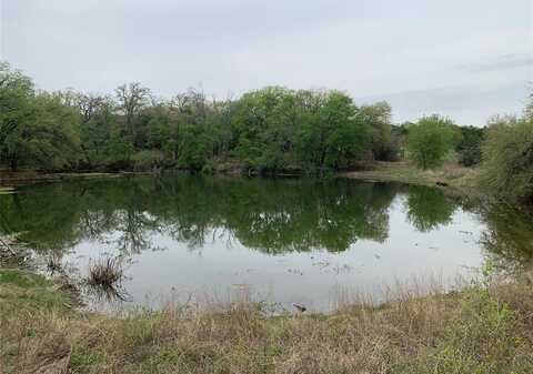 1033 Creek Crossing Road, Nemo, TX 76070