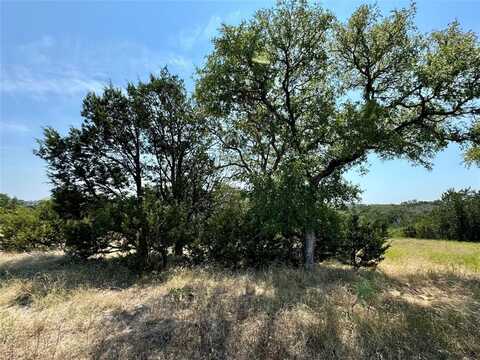 1204 Rawhide Ridge, Graford, TX 76449