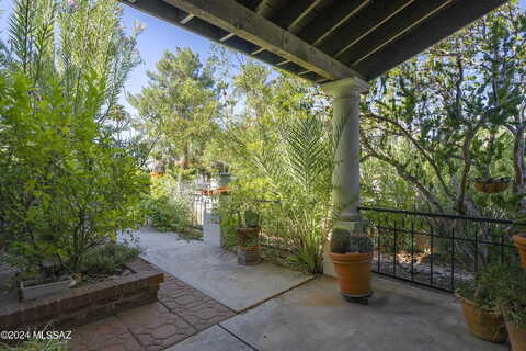 Safari, TUCSON, AZ 85704