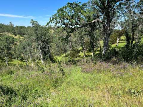 16298 Lariat Loop, Corning, CA 96021