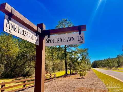 Lot 20 Pine Preserve Ln, Pace, FL 32571