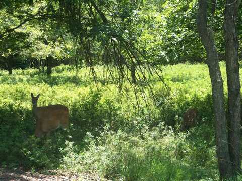 Shakespeare Drive, Albrightsville, PA 18210